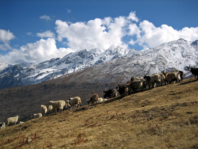 हुम्ला चिनाउने कार्यक्रममा केन्द्रित हुँदै  स्थानीय तह