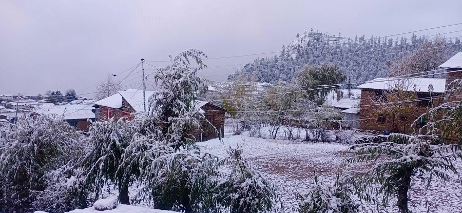 हुम्लामा हिमपात शूरु, जनजीवन कष्टकर