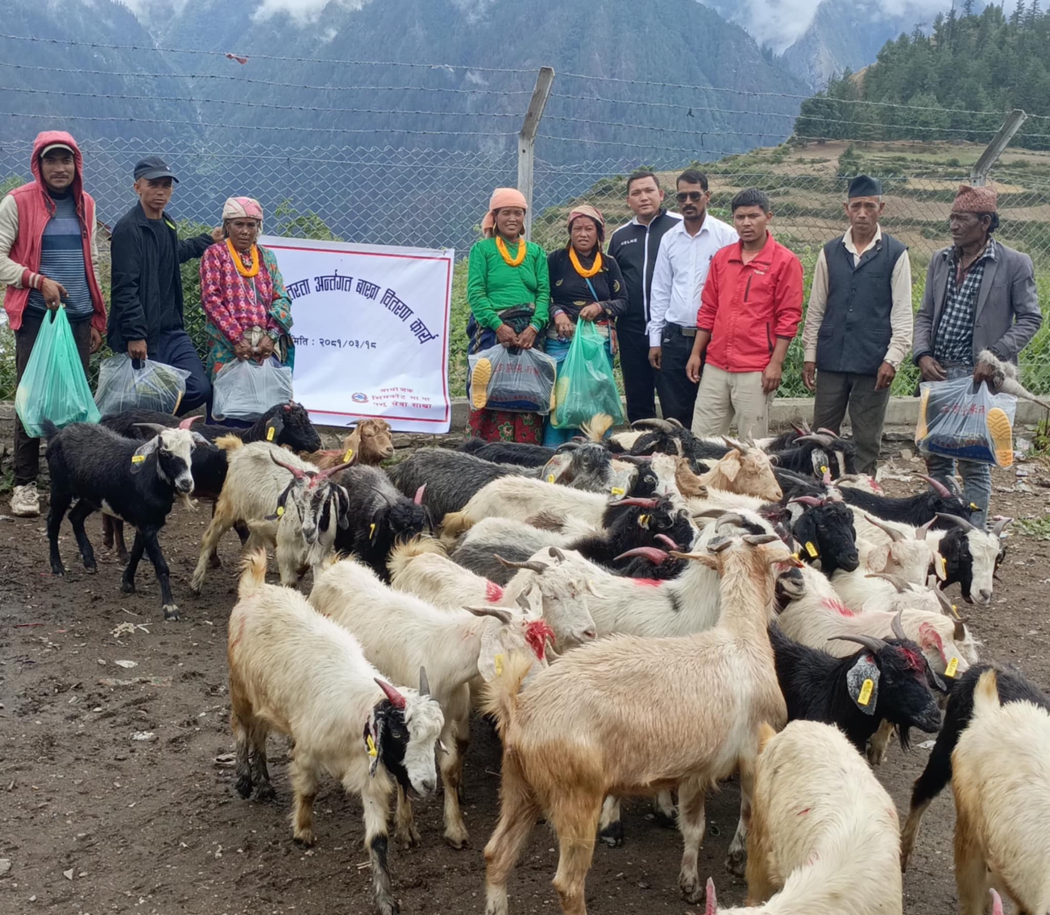 छ जना कृषकलाई बाख्रा वितरण