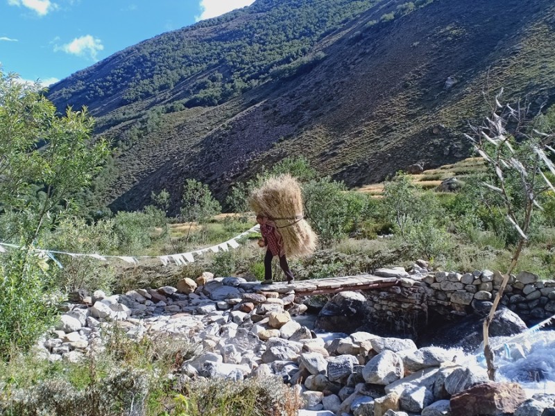 बसाइ सराईले रित्तियो हिमालपारीको जाङ गाउँ 